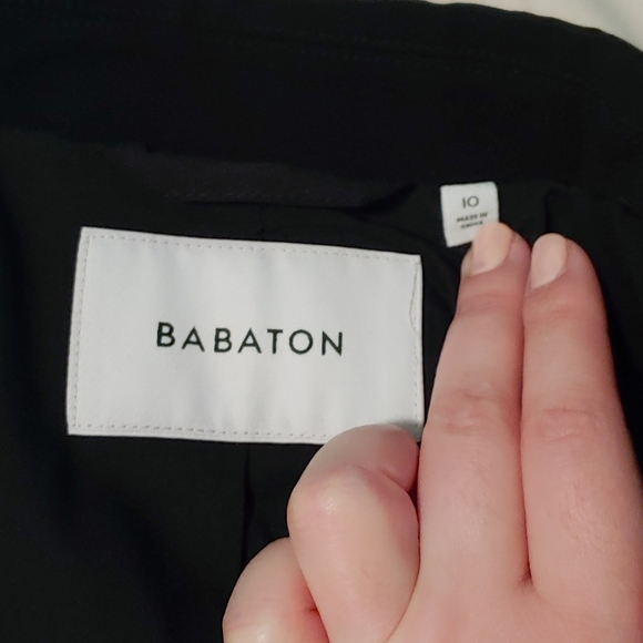 Babaton Enoch double brested Blazer from Aritzia - Picture 5 of 7